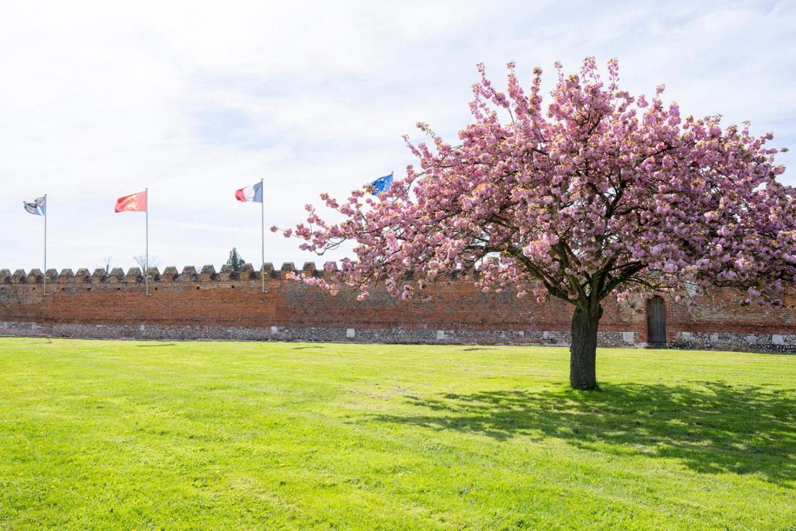 Chateau De Tilly Boissey-le-Chatel Dış mekan fotoğraf